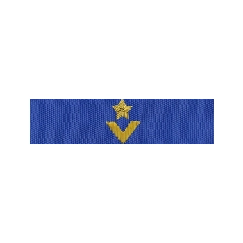 Otok do czapki garnizonowej PSP -haft bajorkiem